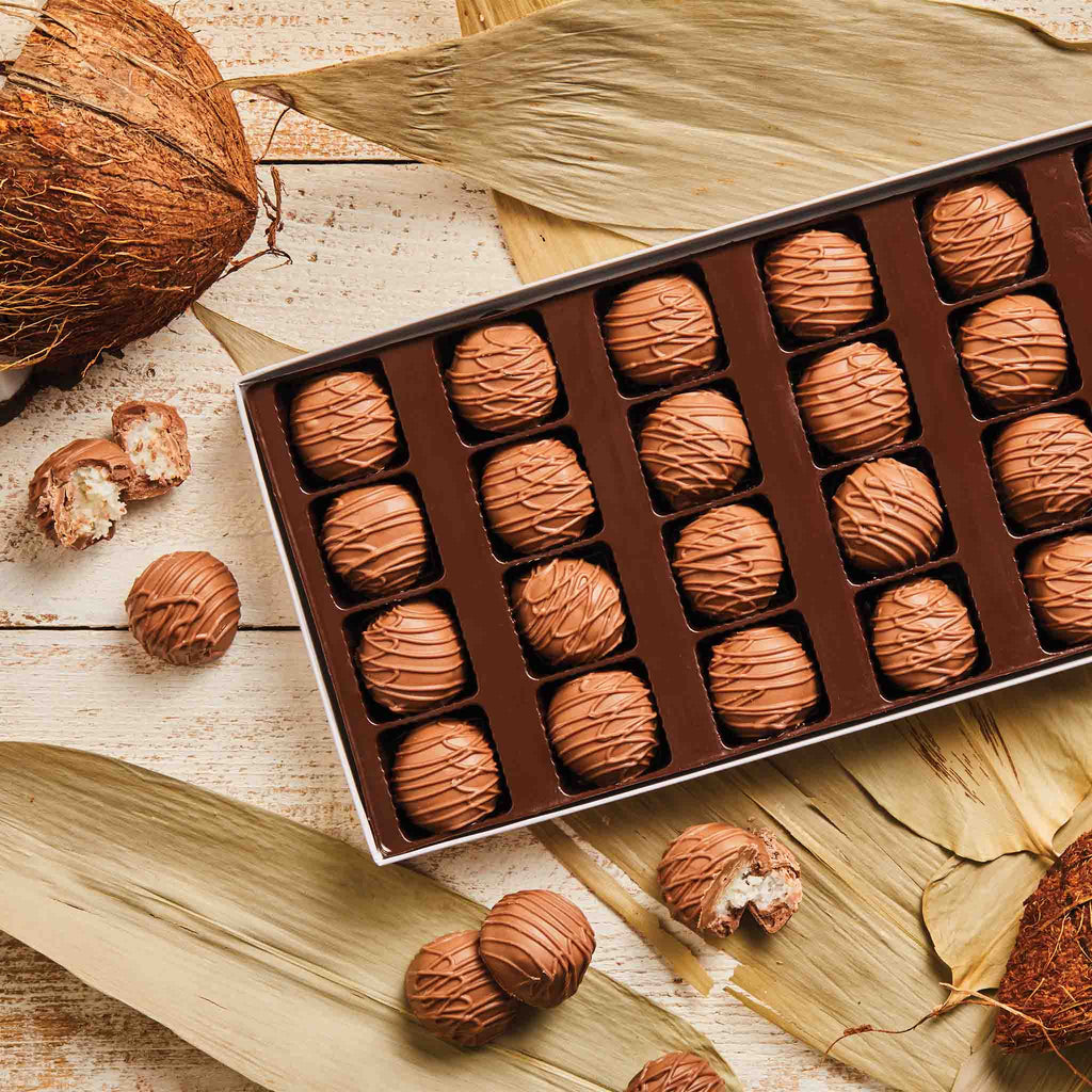 Coconut Delights 24 pcs. | 12 oz.