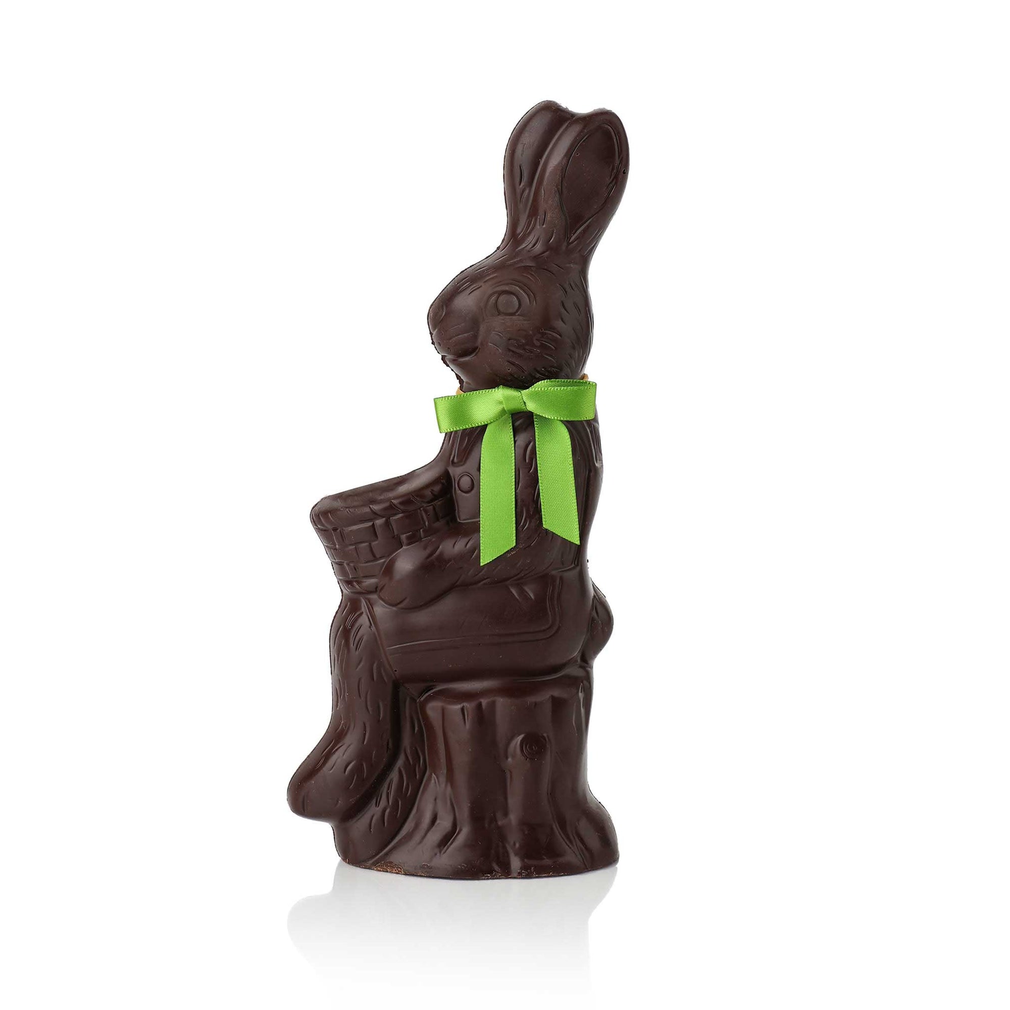 Bunny On A Log Dark 16 oz.